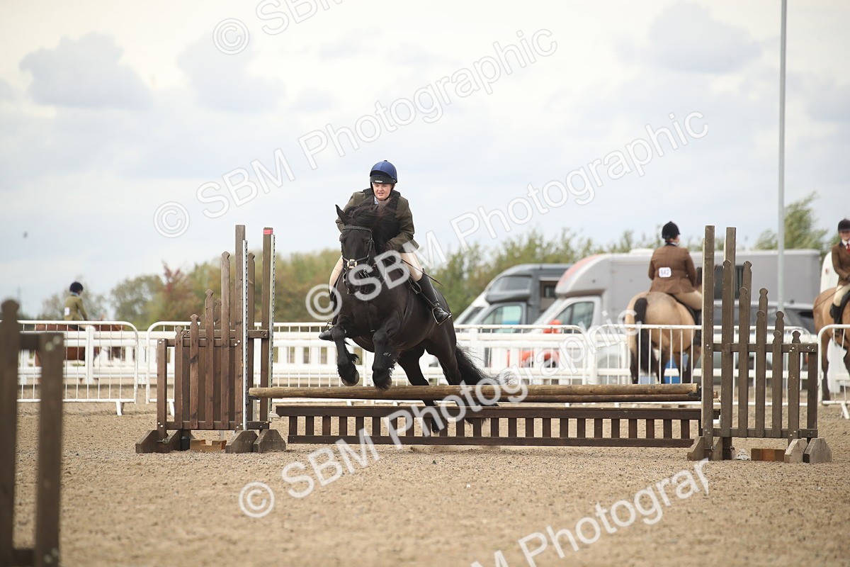 SBM_16634 - Class 507a - Working Veteran - 60cm (15-19)