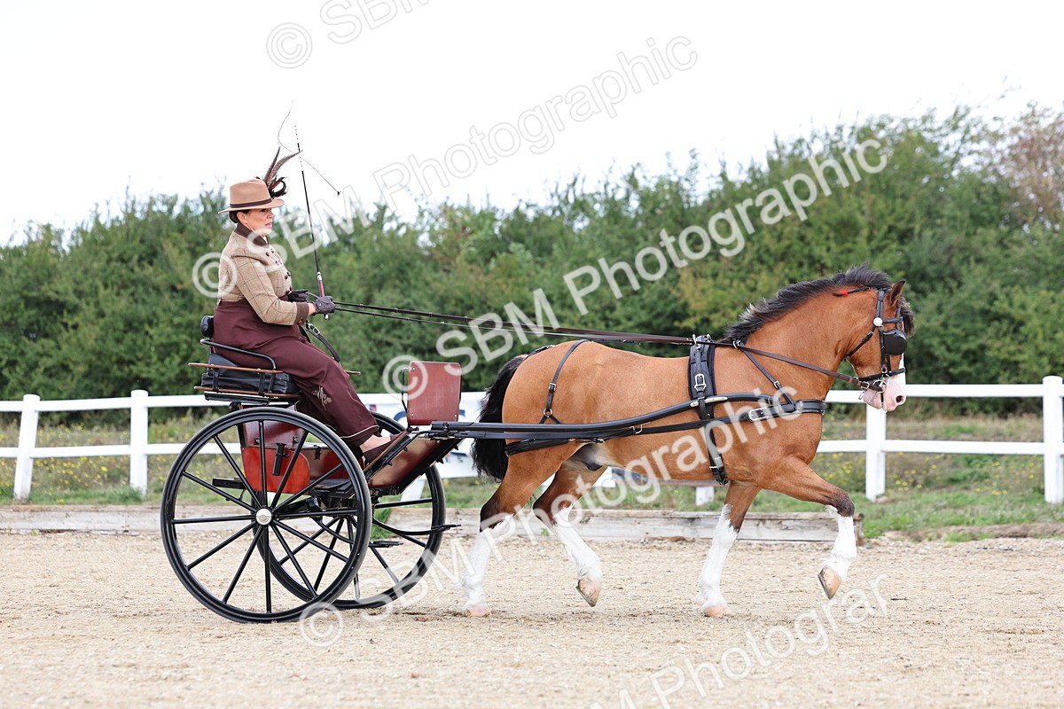 SBM_000276 - Class 2 - Exercise Vehicle 13.2hh & Under