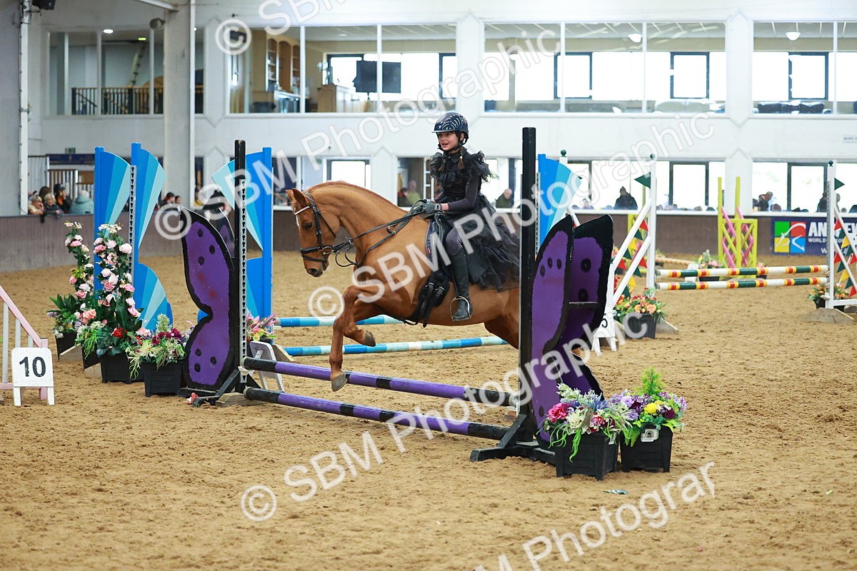 SBM_002552 - Class 3 - Horse & Hound (60cm)