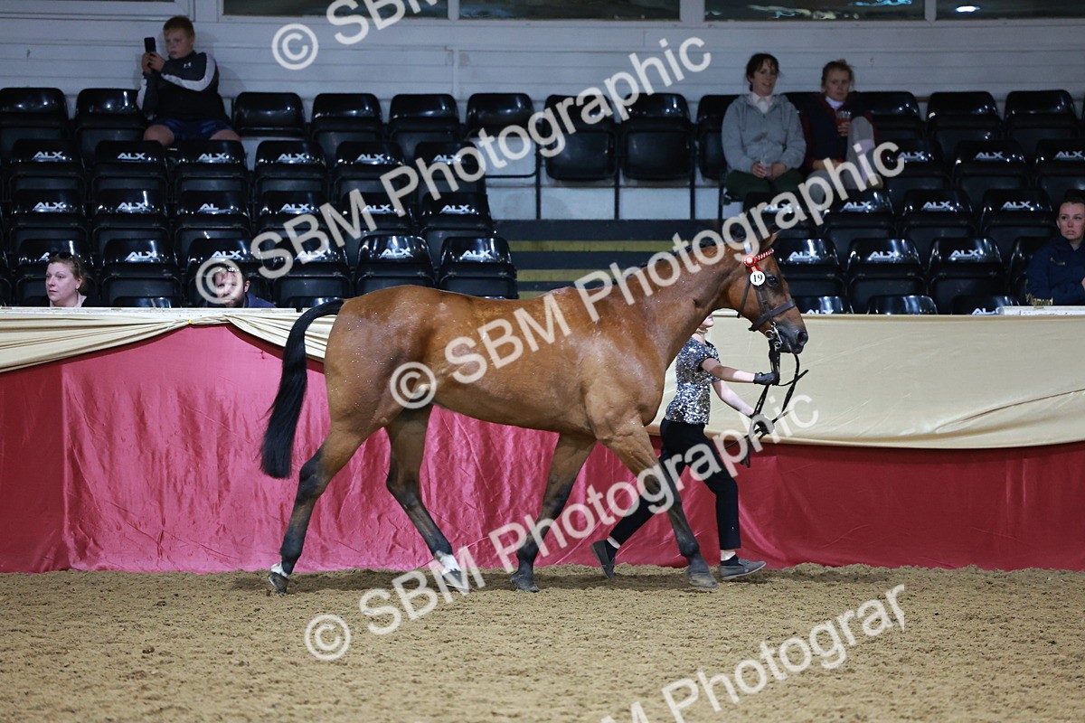 SBM_19999 - Class B - Junior Champ 11yr to 16 Years