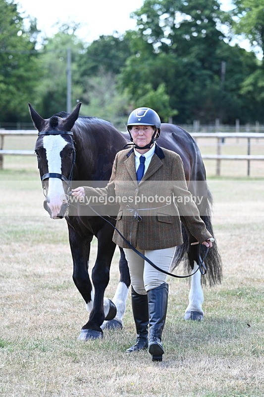 WJ7_2312 - Class 5a Most Handsome Gelding in hand (above 14.2hh)