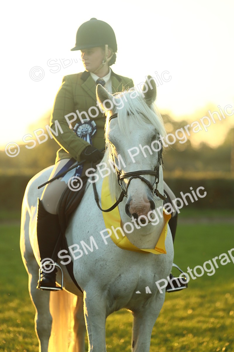 SBM_56702 - Fun & Versatile Supreme Championship