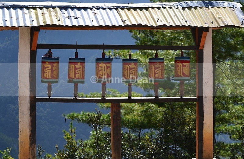 Halfway up to Taktsang - Bhutan