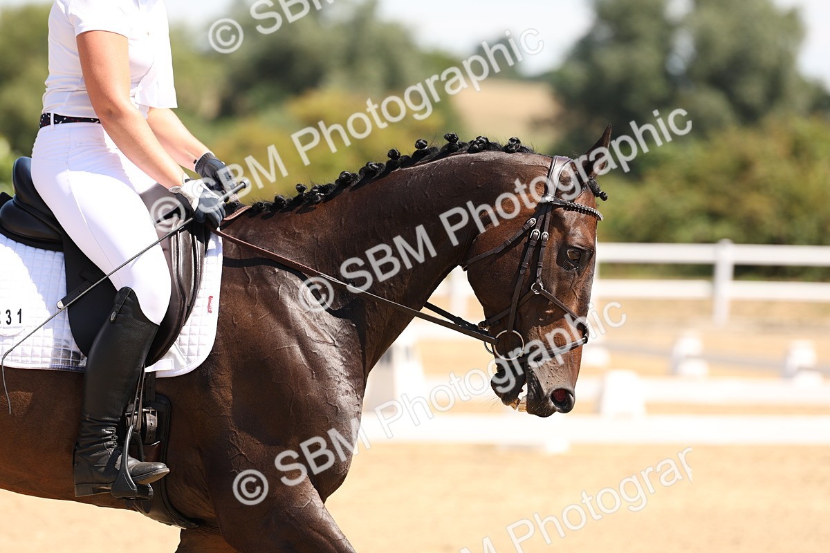 SBM_001292 - Intro 2