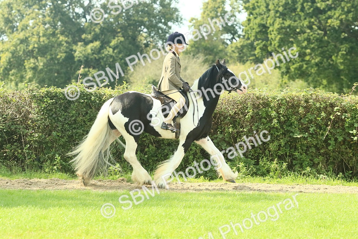 SBM_67471 - S56 - Coloured Pony Ridden
