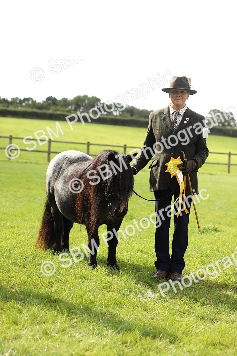 SBM_62859 - S46 - Mountain & Moorland In Hand Small Breeds