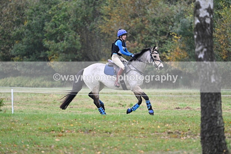 WJ7_1266 - 80cm Cam 2 Water Time 11:29 to 11:46