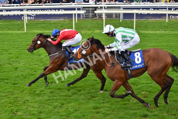yr09102021r2-22 - Race 2 2.02pm Coral Beaten-By-A-Length Free Bet Rockingham Stakes