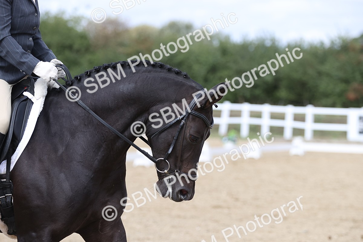SBM_003889 - Class 9 - Novice 3 Champs