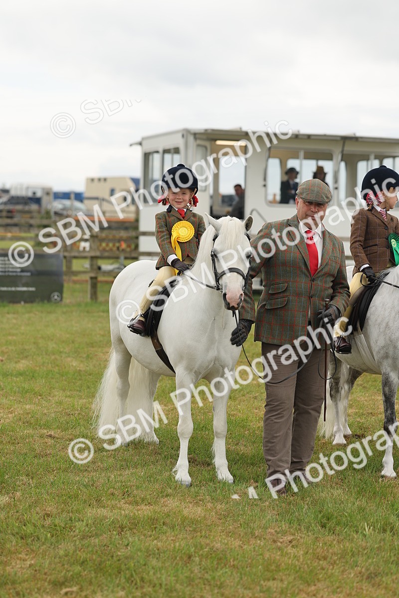SBM_06810 - Class 74-75 - M&M Lead Rein and First Ridden Pony