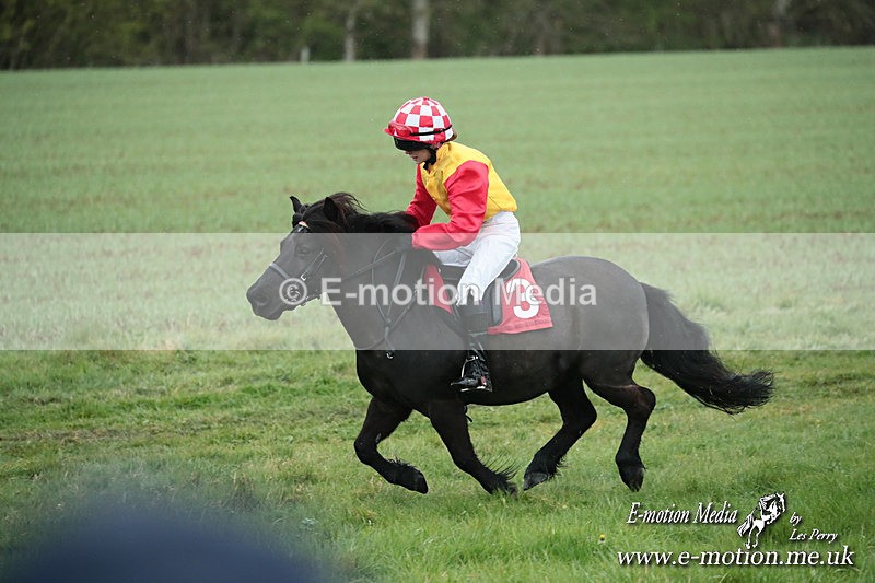 SHETPR 210425 131 - Shetland Ponies Paxford Races 21/04/25