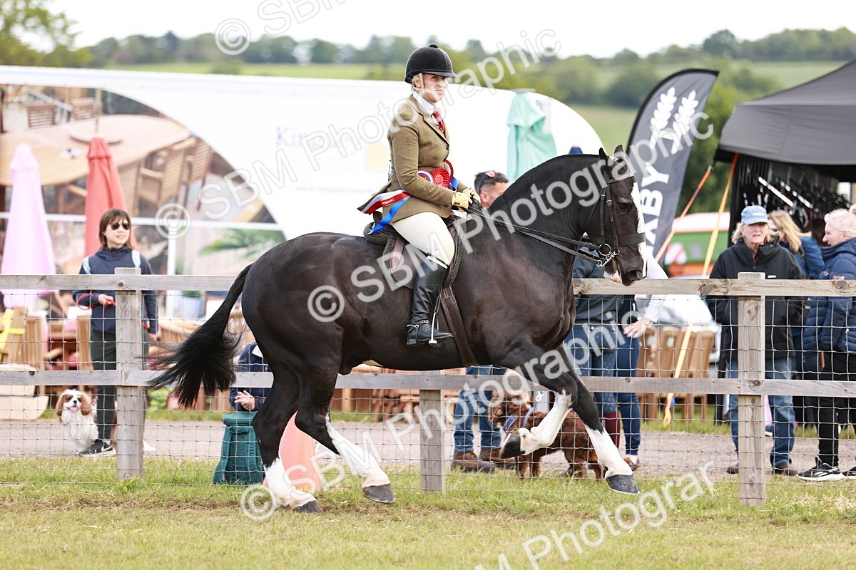 SBM_14119 - Class 85-87 - RIHS Cobs