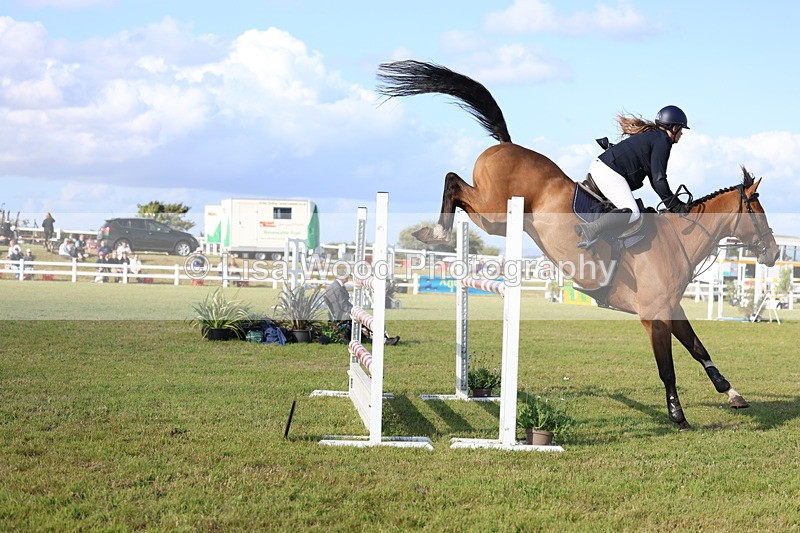 3E7A4338 - Class C: Showjumping Senior Foxhunter