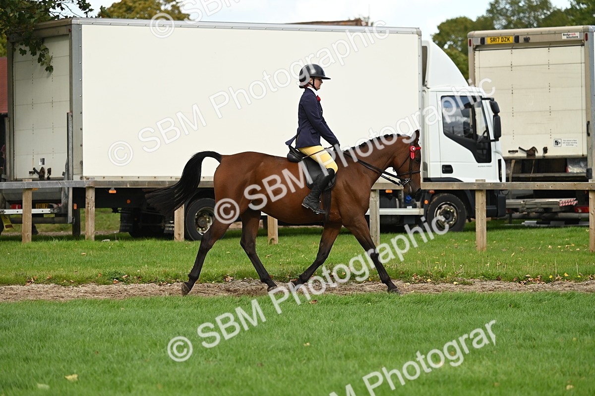 SBM_26332 - S6 - Novice & newcomer Ridden horse
