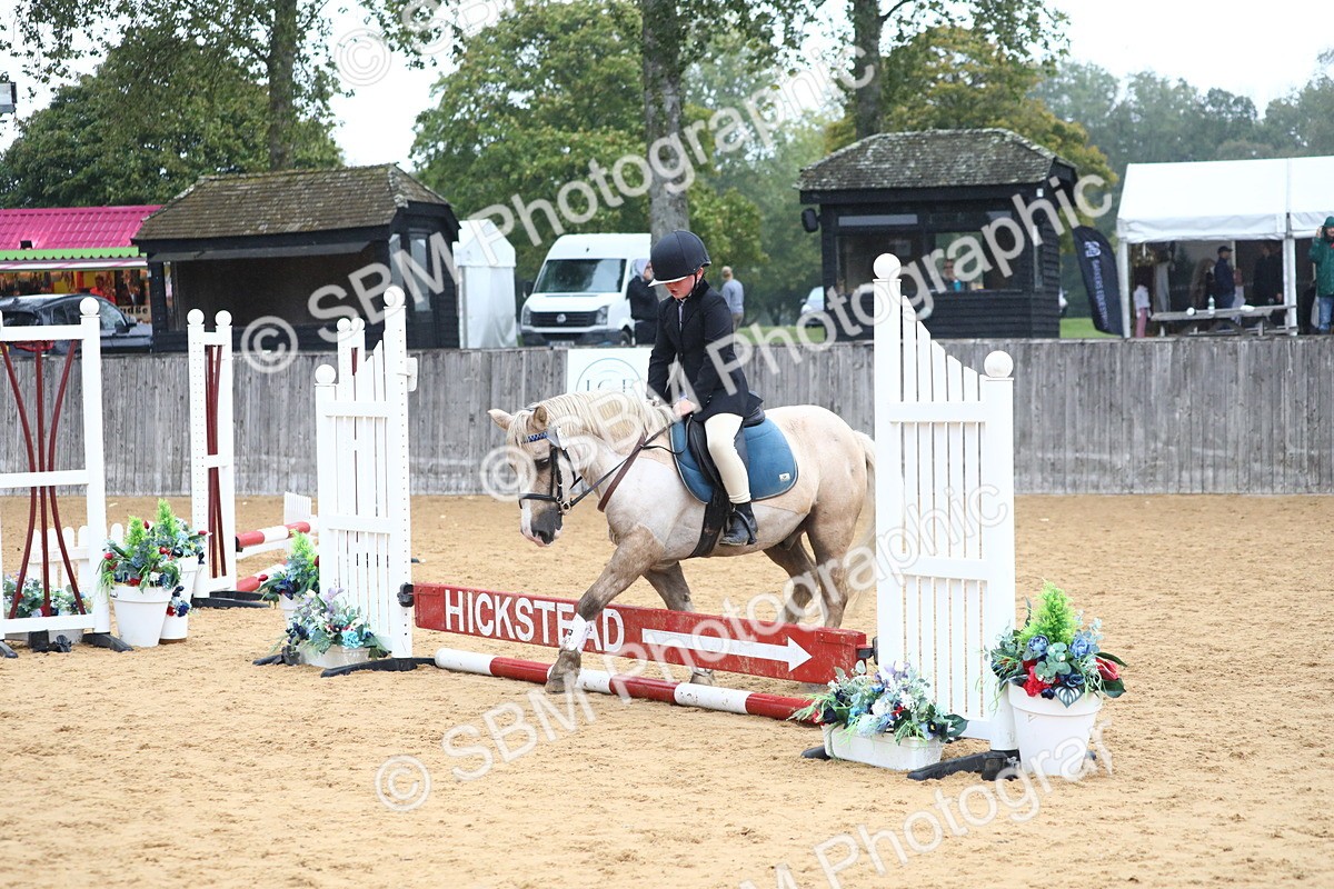 SBM_71579 - J4 - Mini Tour Junior Pony 45cm Championship