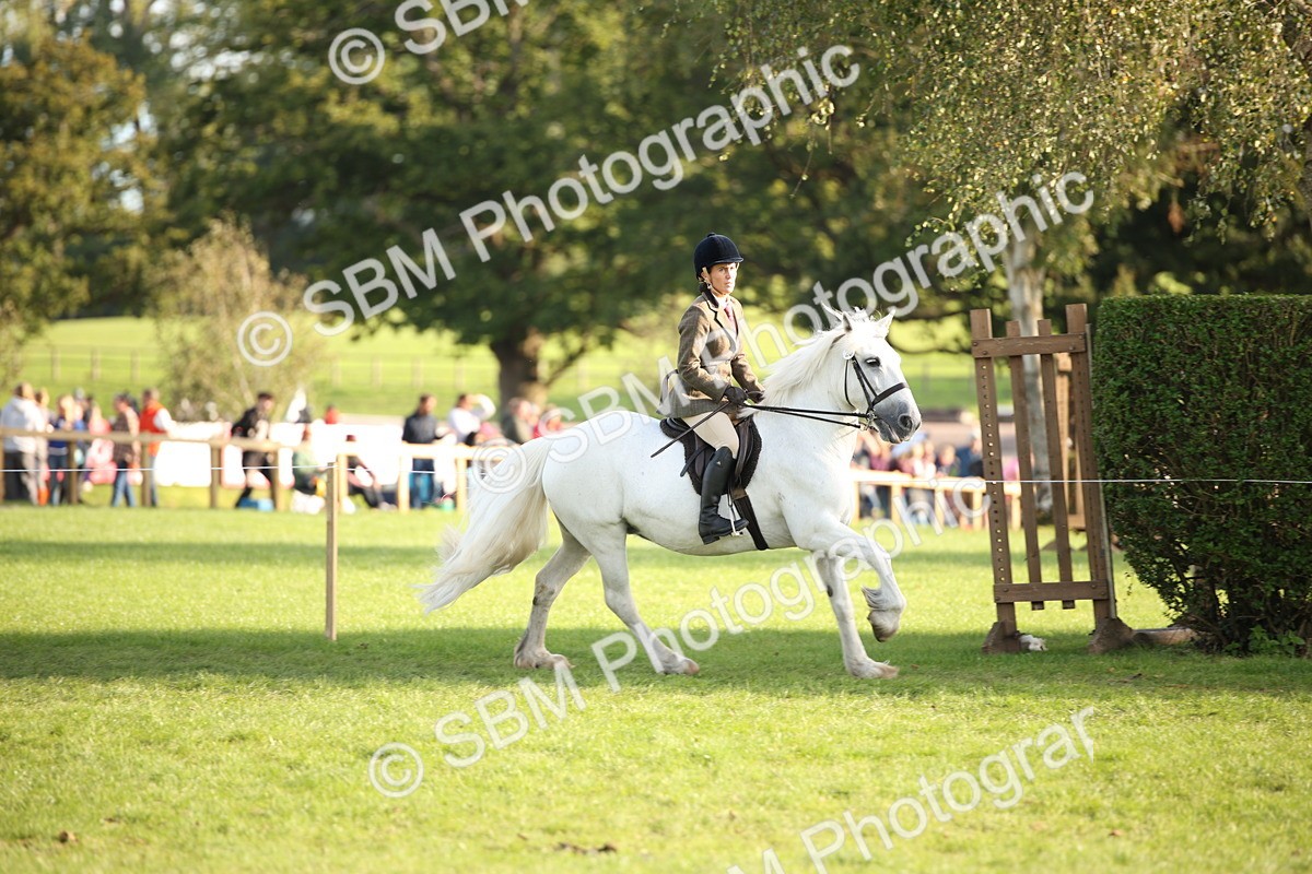 SBM_54328 - S27 - Mature Veteran - Ridden