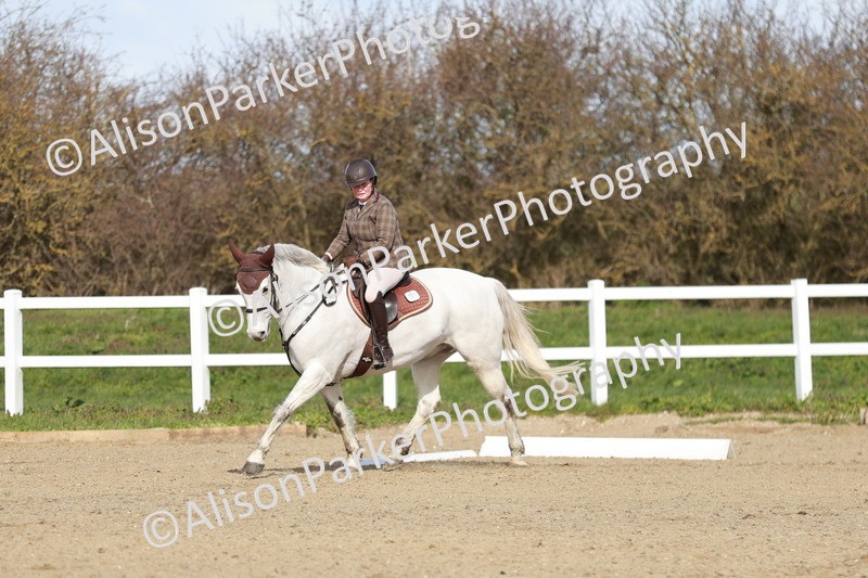 20260314-2809 - DR3 - Prelim 1