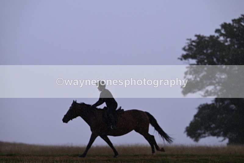 DSC_2992 - Time at Statue 12:59 to 13:49