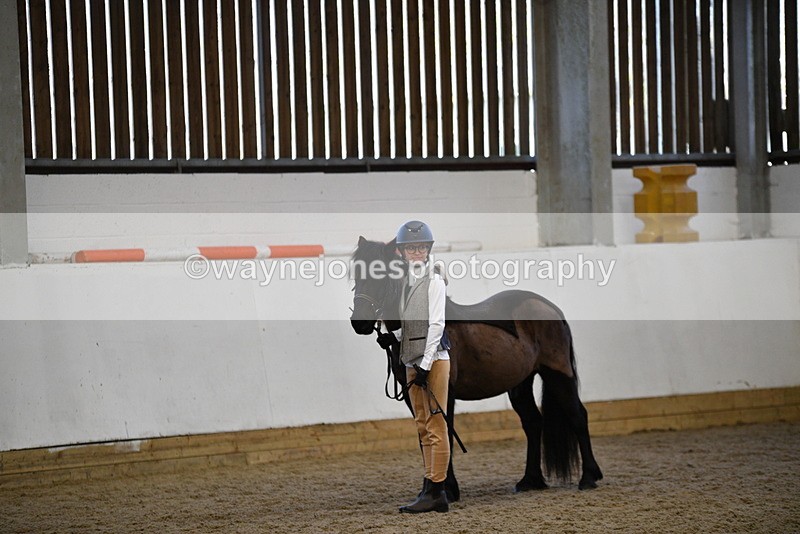 WJ5_4425 - Class 6 In hand M&M - Large Breeds