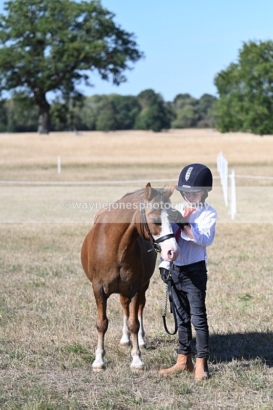 WJ7_2126 - Class 44 Child's Best Friend