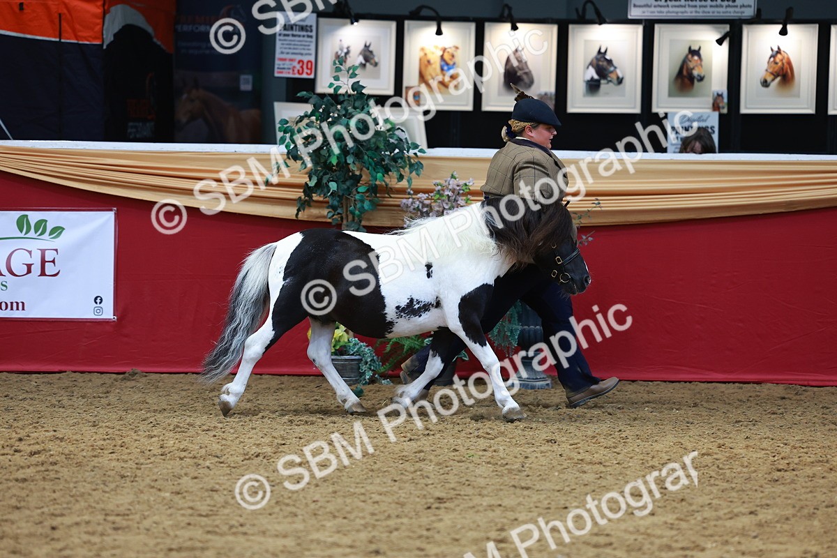 SBM_04203 - Class 9R - IH Pre-Vet