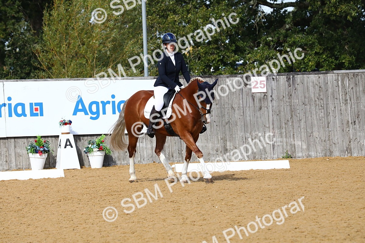 SBM_18295 - D31 - Grand Tour PYO Open .