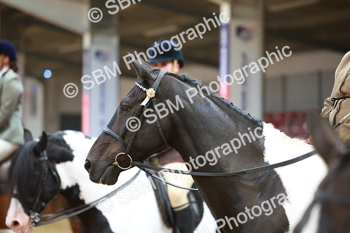 SBM_09692 - Class 102 - HOYS Veteran Qualifier - Ridden Veteran