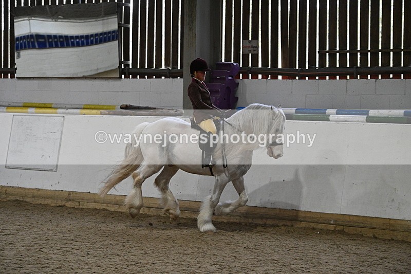 WJ7_4227 - Class 17 Ridden Cob