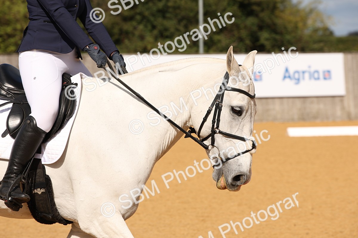 SBM_04262 - D2 Small Tour Championship Intro C