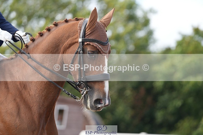 250907-160913-09774 - 126-Clair.ReedCatherston.Specific