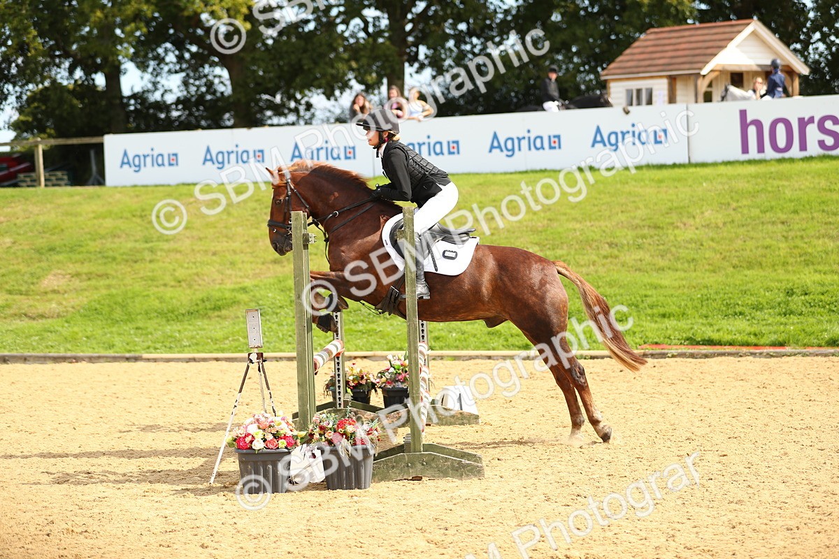 SBM_66210 - J17 - Junior Pony 80cm Championship