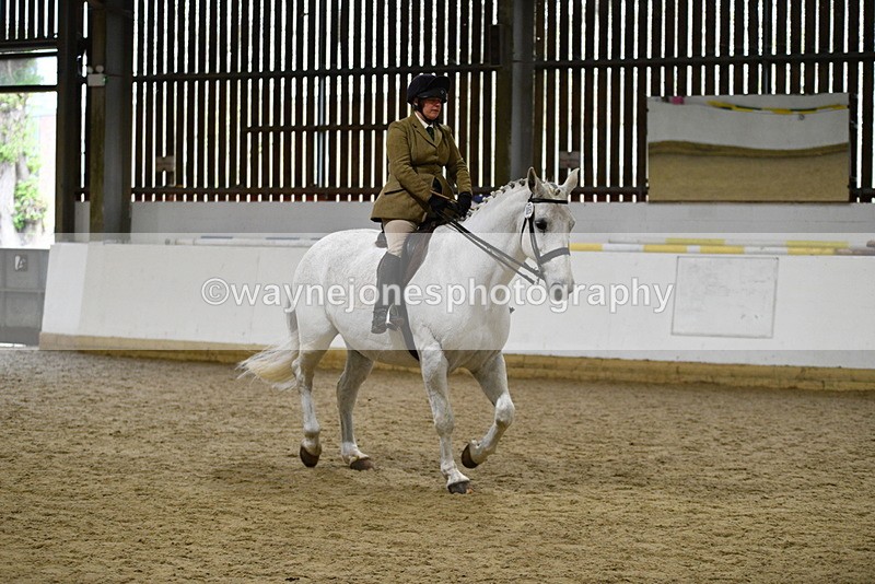 WJ5_9036 - Class 15 Ridden Show Horse
