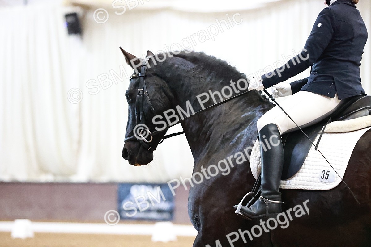 SBM_000674 - Class 8 - Medium 5