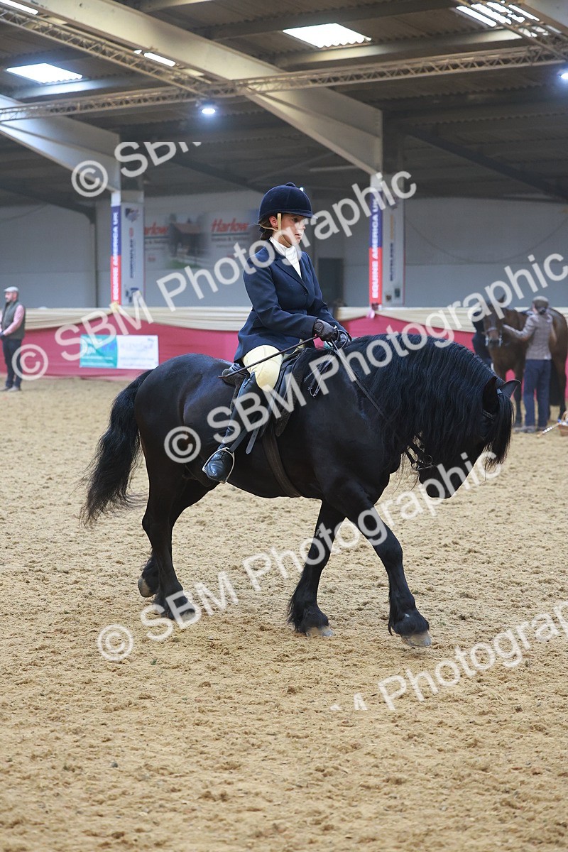 SBM_17757 - Class 952 - M&M Ridden Supreme Final