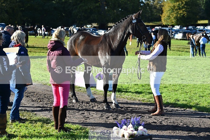 231022-104524-22719 - 483-LOPSHILL.ANNIE-Katie.Timberlake-TrotUp+SJ