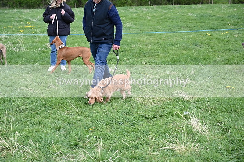 WJ6_8133 - Class 2 Best Pedigree