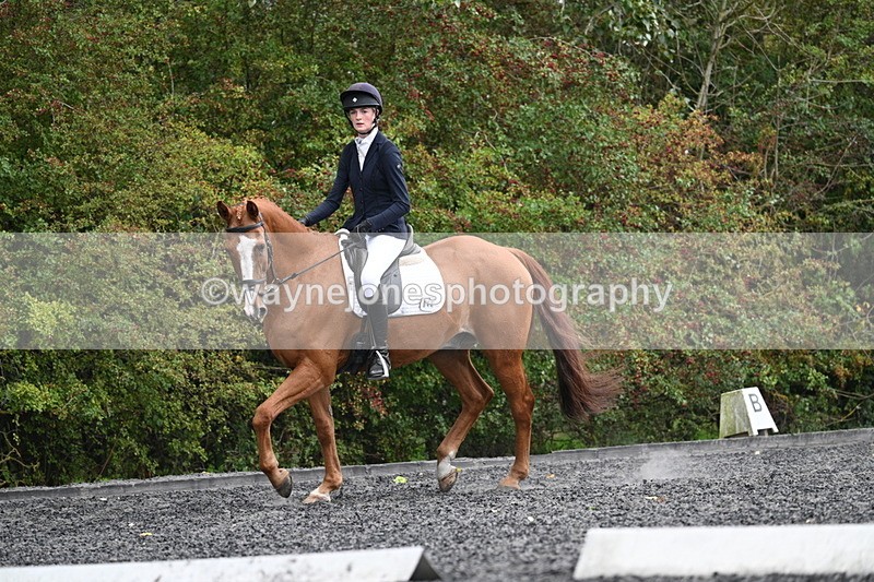 WJ7_6657 - Time 14:49 to 15:14