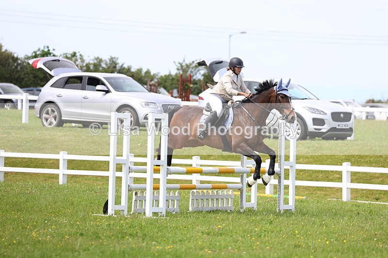 3E7A1463 - Class 13: Senior British Novice/90cm open