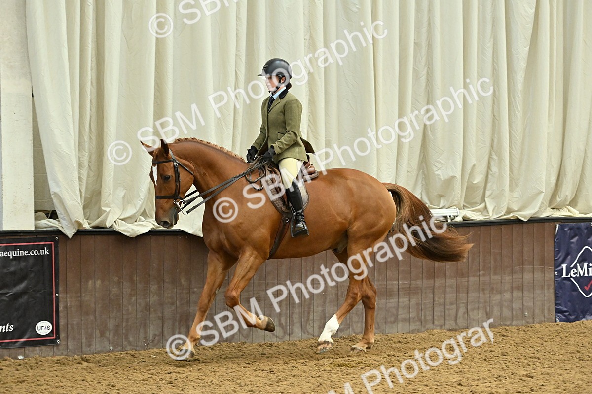 SBM_002061 - Class 23 - BSHA Ridden Show Hunter