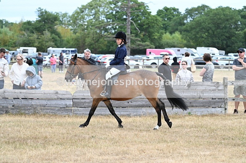 WJ7_7232 - Class 2 Best Rider