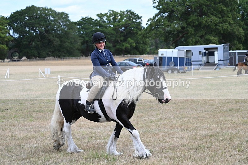 WJ7_5453 - Class 12 Ridden Cob