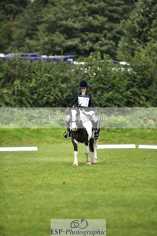 230826-112913-15878 - Sections C & D 10 to End