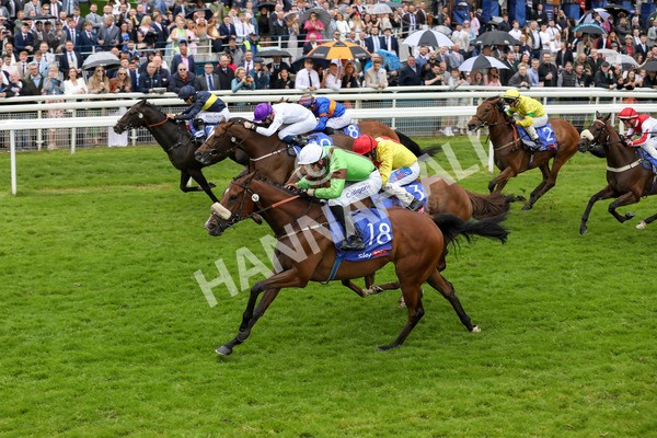 150624-Race 2-Tolstoy-6105 - Race 2 2.25pm Sky Bet Proud To Support Macmillan Handicap