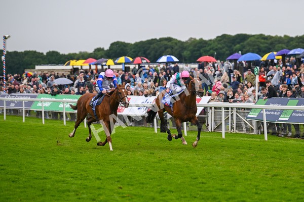 150624-Race 3-Klondike-7092 - Race 3 3.00pm Sky Bet Race To The Ebor Grand Cup Stakes