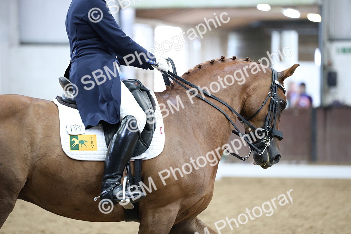 SBM_004743 - Class 9 - FEI Inter 1 Gold - 16.59-17.47