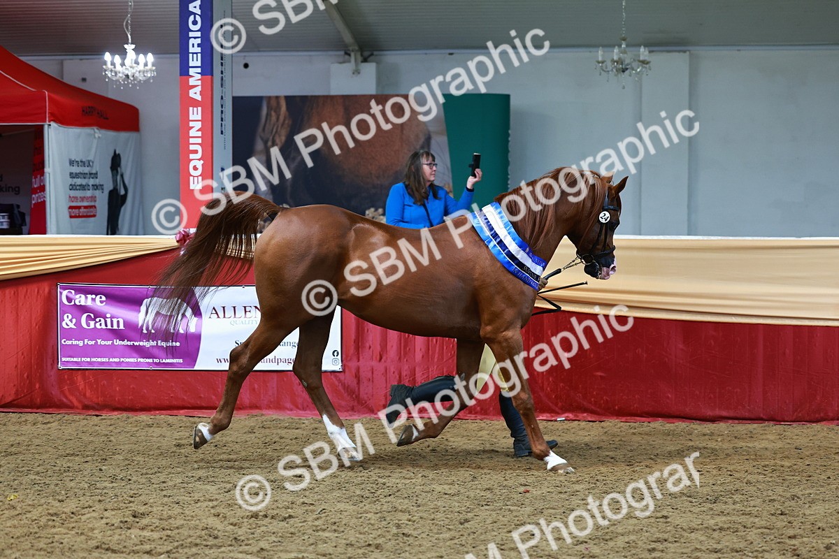 SBM_23061 - Supreme Final - IH  Champ