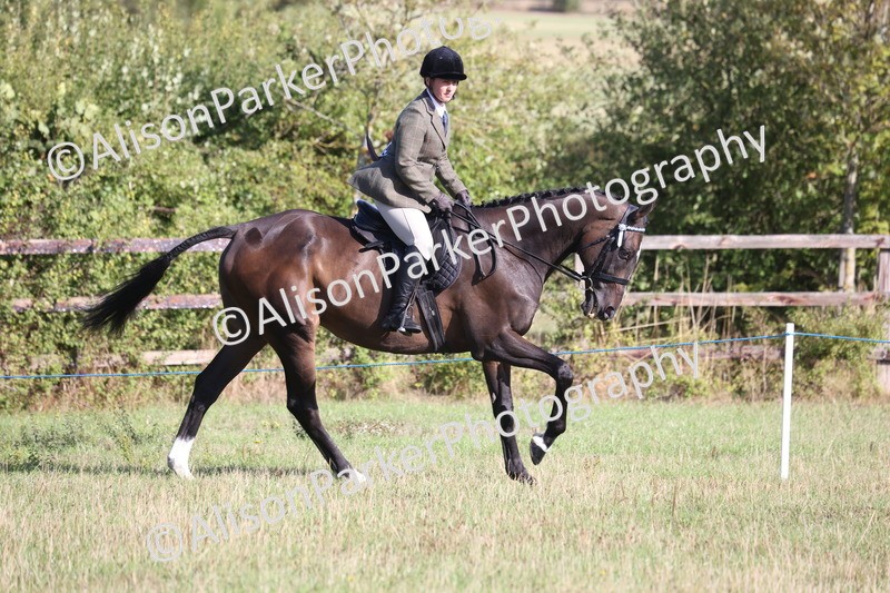 20260906-0359 - Class 14 - Ex Racehorse