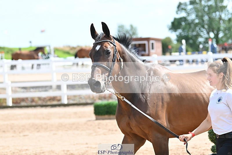 240717A-150105-02449 - Trot Up 3pm to 4pm