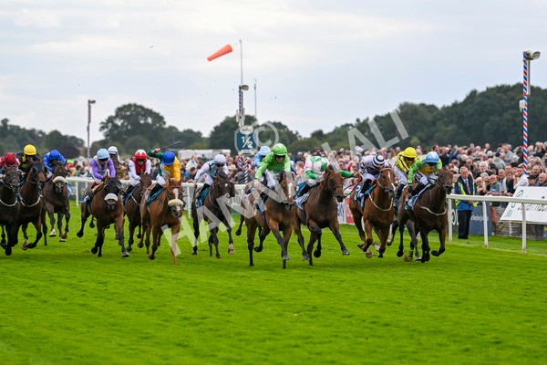210824-Race 1-Jm Jungle-4487 - Race 1 1.50pm Symphony Group Handicap