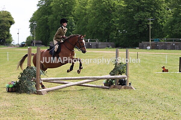 IMG_2981 - Working Hunter